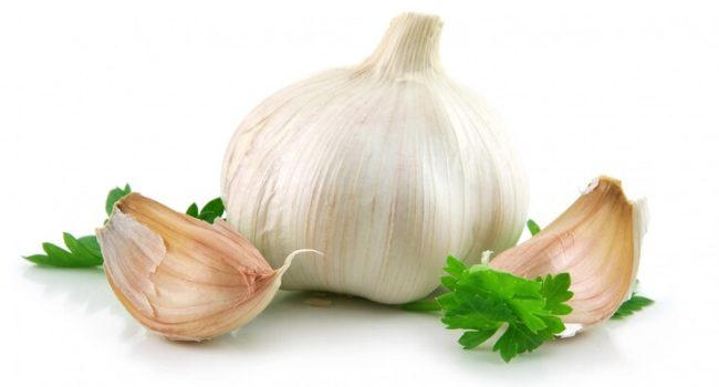 garlic-vegetable-with-green-parsley-leaves-isolated-white_80510-1113